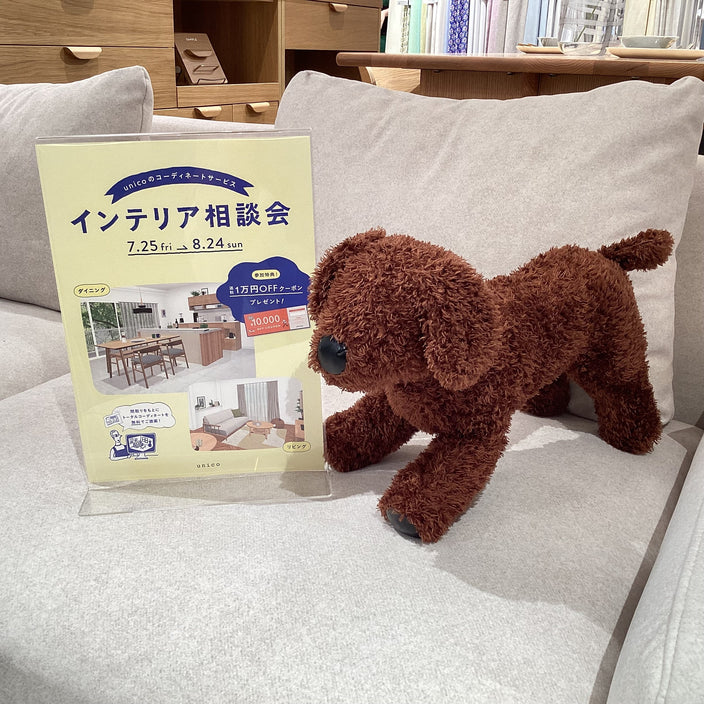 もうすぐインテリア相談会が始まります！