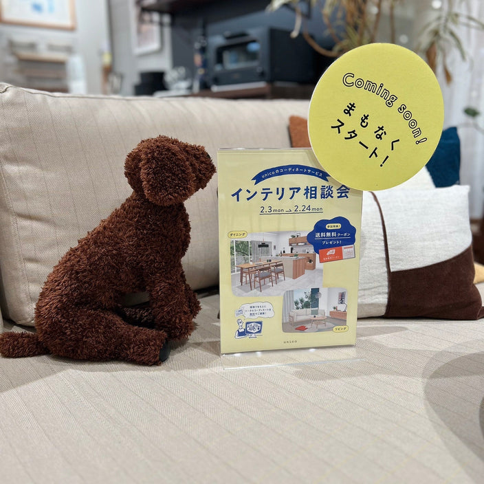 【お知らせ】送料無料キャンペーン開催決定！