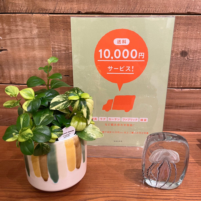 【送料1万円OFFキャンペーン開催中！】