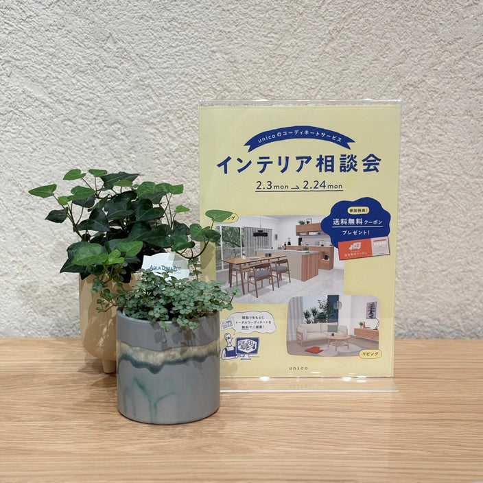 【送料無料】インテリア相談会の開催が決定！